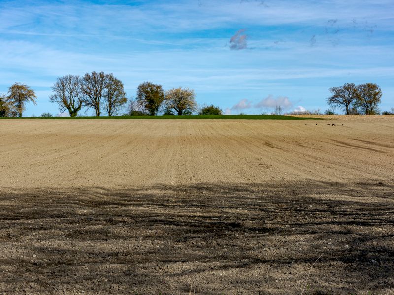 Land commercial real estate